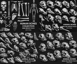 BONES MEGA PACK (4 IN ONE - 86 BRUSHES)
