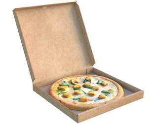 Pizza box 10