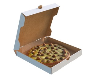 pizza box white