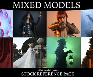 Mixed Models - Fantasy Stock Reference Pack