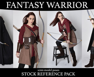 Fantasy warrior - Stock model reference pack