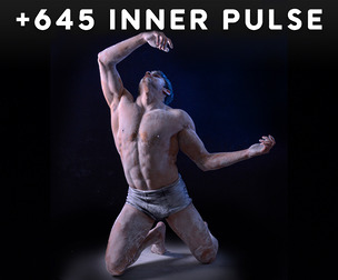 +645 Inner Pulse Reference Pictures – Vol 47