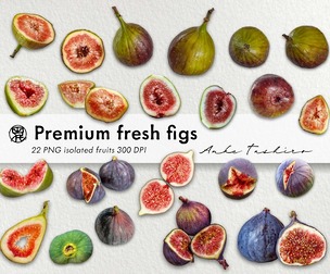 Premium Fresh Fig Fruits Set PNG clipart 300 DPI Printable Instant Download