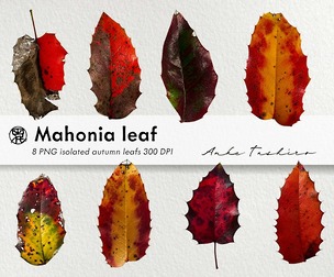Mahonia Leaf Set PNG Clipart 300 DPI Printable Instant Download