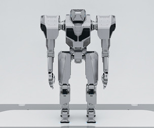 Humanoid Robot