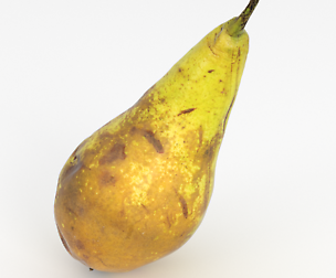 Photorealistic pear