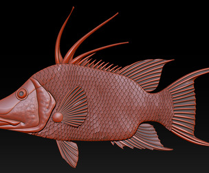 3D STL Hogfish Relief Model