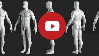 Anatomy Male Tool  Free Sample cover