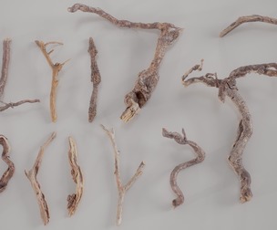 12 3D Scanned Branch Collection