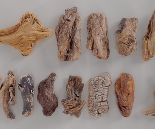 15 3D Scanned Wood Extra Small Collection