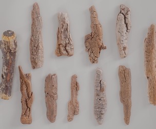 15 3D Scanned Wood Large Collection
