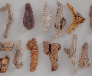 15 3D Scanned Wood Small Collection
