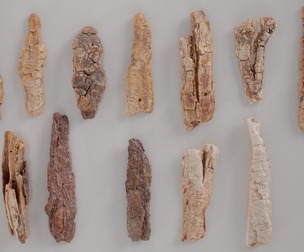 12 3D Scanned Big Wood Collection