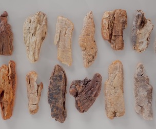 16 3D Scanned Middle Wood Collection