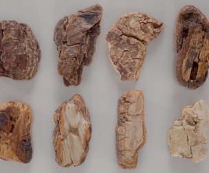 8 3D Scanned Tiny Wood Collection