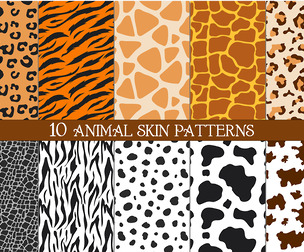 10 Seamless Animal Skin Patterns, Realistic Leopard, Tiger, Zebra, Giraffe  Textures
