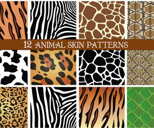 12 Seamless Animal Skin Patterns, Tiger, Zebra, Giraffe, Python Snake, Cow, Leopard Texture