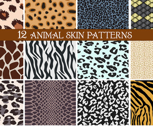 12 Seamless Animal Skin Vector Patterns, Leopard, Snake, Giraffe, Zebra, Cheetah, Tiger Textures