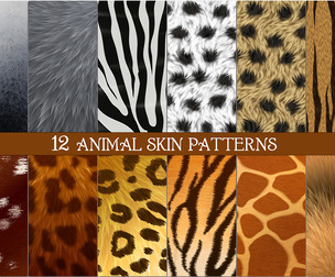 12 Seamless Animal Skin Vector Patterns, Leopard, Tiger, Zebra, Giraffe, Cheetah, Deer Fur Textures