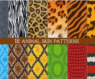 12 Seamless Animal Skin Patterns, Leopard, Zebra, Tiger, Python Snake, Crocodile, Cheetah Textures