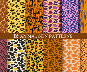 12 Seamless Animal Skin Patterns, Colorful Giraffe, Leopard, Tiger, Zebra, Cheetah, Cowhide Textures