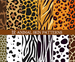 12 Seamless Animal Skin Patterns, Colorful Giraffe, Leopard, Tiger, Zebra, Cowhide, Cheetah Textures