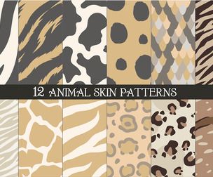 12 Seamless Animal Skin Patterns, Neutral Zebra, Giraffe, Cowhide, Leopard, Snake, Cheetah Textures