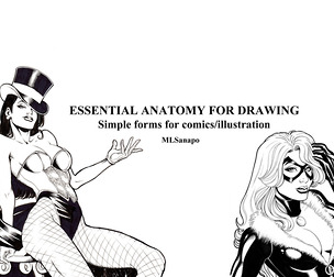 Essential Anatomy for Drawing