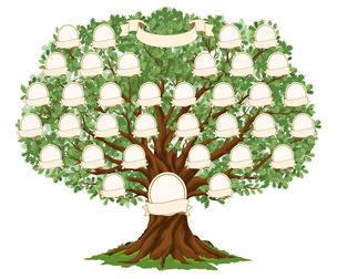 Vintage Genealogy Family Tree Vector Illustration, Ancestry Map, Elegant Photo Frames, Ribbons