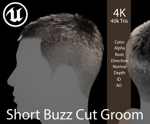Short Buzz Cut Groom Realtime Hair (Game-Ready Hair)