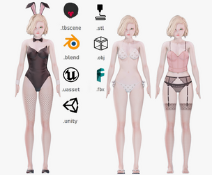 Clothing Collection 004 - Rig - UE5 - Unity - Blender - Animated - Realistic Female Character