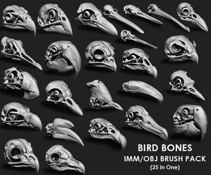 Birds Bones Collection IMM/Obj/Stl Brush Pack 25 in One