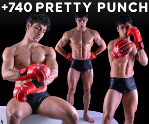740 Pretty Punch Reference Images - Vol 15