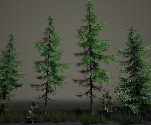 Tree Pine Asset – Game Ready 3D Model