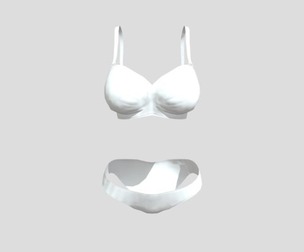 【FREE】 Simple Bra & Panties 3D Model