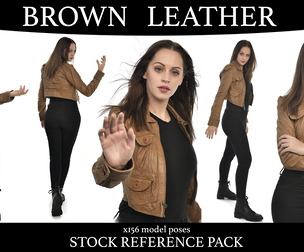 Brown leather basic - Stock model reference pack
