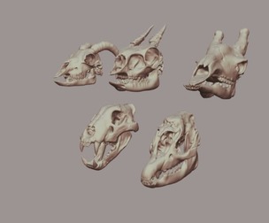 Skulls Pack 1