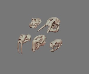 Skulls Pack 2