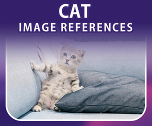 400 Cat References References Image Reference Pack - Vol 01