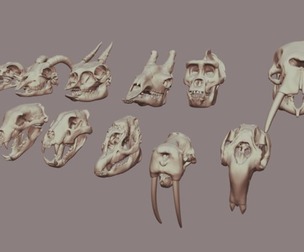 Mega Skulls Pack