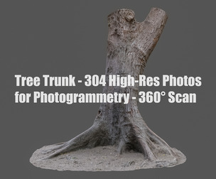 Tree Trunk - 304 High-Res Photos for Photogrammetry - 360° Scan