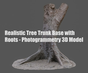 Realistic Tree Trunk Base with Roots - Photogrammetry 3D Model