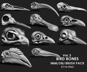 Birds Bones Collection IMM/Obj Brush Pack 11 in One
