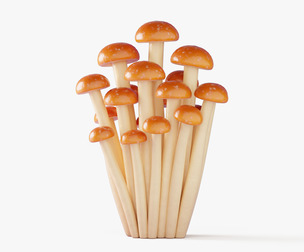 Cartoon Honey Mushrooms