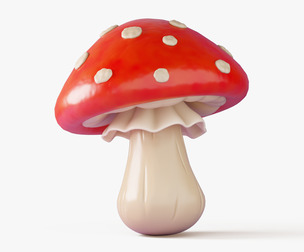 Fly Agaric Mushroom