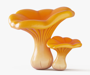 Cartoon Chanterelle Mushrooms