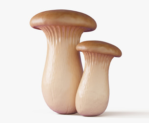 Eryngii Mushrooms