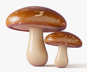 Shiitake Mushrooms