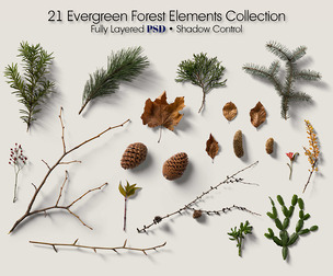 21 Coniferous Forest Elements Mockup PSD, Pine Branches, Evergreen Sprigs, Cones, Natural Woodland