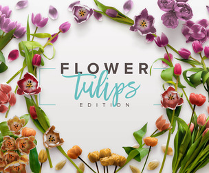 Fully Editable Tulip Scene, Multi-Layered PSD Mockup, Isolated Spring Flowers